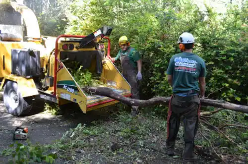 tree services Hutchinson